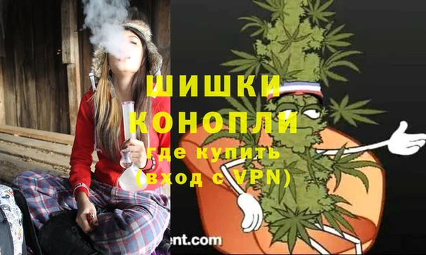 стафф Бородино